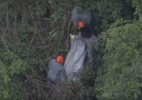 Polícia encontra mais um corpo em São Paulo; vítima não foi identificada