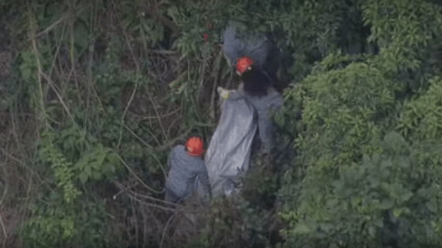 Retirada de corpo em área de mata, na capital paulista