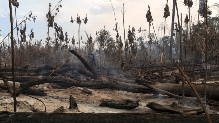 Como o desmatamento na Amazônia levou Cantareira a nível pré-crise hídrica