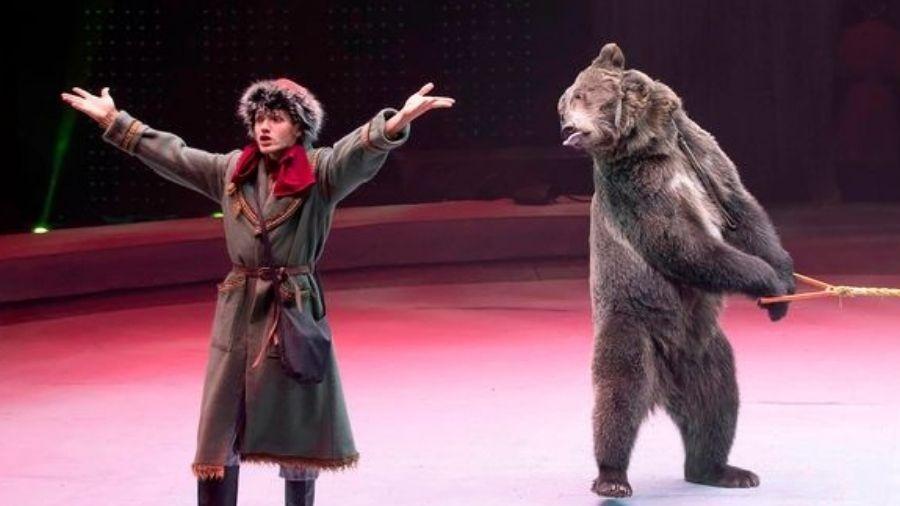 Cena de espetáculo com um dos ursos do circo Great Moscow State  - Divulgação/Great Moscow State Circus
