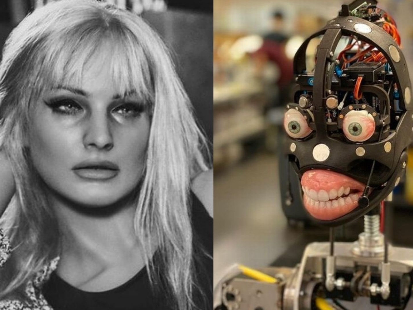 De silicone a inteligência artificial: a fábrica que constrói bonecas  sexuais mais 'reais' - BBC News Brasil