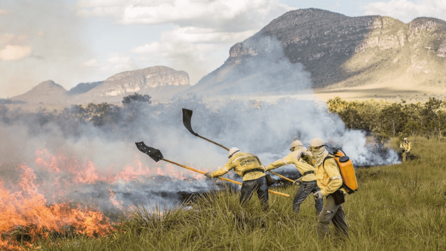 Brigadistas contêm as chamas durante queima controlada no Parque Nacional da Chapada dos Veadeiros, em Goiás - Fernando Tatagiba/ICMBio