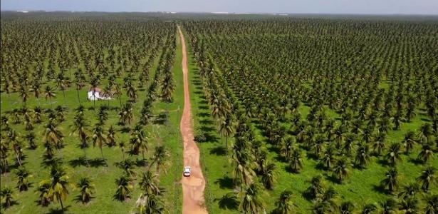 Demarcação indígena mais atrasada do NE vive tensão com disputa por fazenda