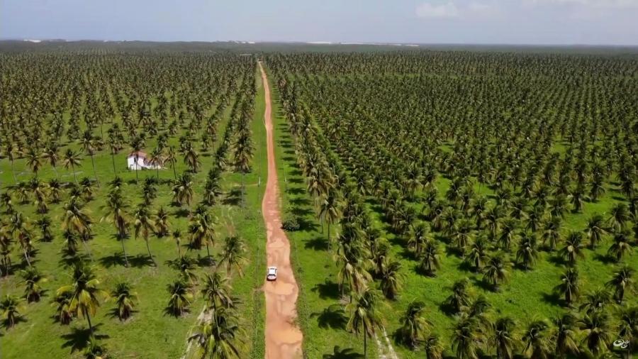 Vista aérea da fazenda São Gabriel, que tem grande parte sobreposta à terra indígena Tremembé, no Ceará Vista aérea da fazenda São Gabriel, que tem grande parte sobreposta à terra indígena Tremembé, no Ceará