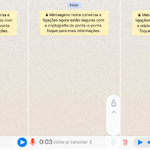 Reprodução Reprodução