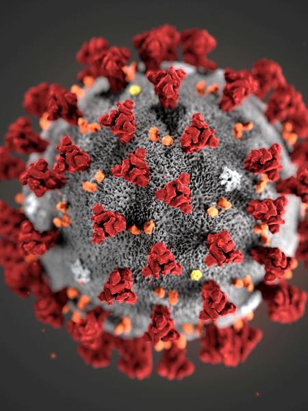 Ilustração do novo coronavírus criada pelo CDC - Handout .