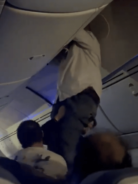 Homem é retirado do teto de avião após turbulência em voo da Air Europa - Reprodução/@alice958