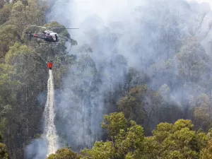 SP segue em alto risco para incêndios até sábado, e temperaturas chegam a 39ºC