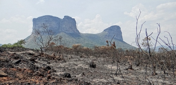 Área devastada pelo fogo no Parque Nacional da Chapada Diamantina, na Bahia - Portal Chapada