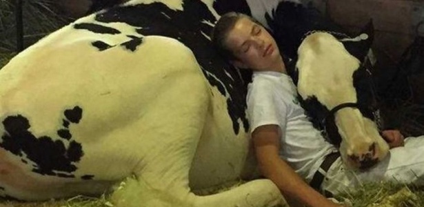 Mitchell Miner e sua novilha dormem após dia exaustivo de concurso nos EUA - Reprodução/Facebook