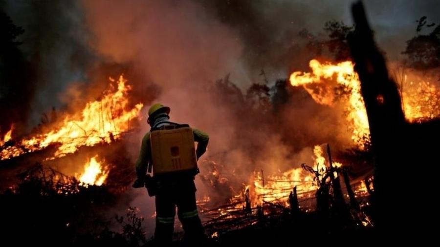 Fogo e desmatamento na Amazônia causam preocupação em todo o mundo - Reuters