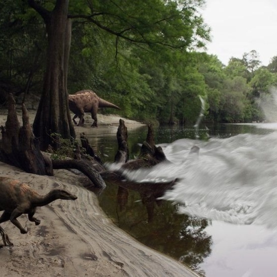 Fóssil mostra que dinossauros também ficavam gripados