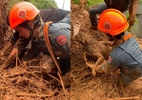 Cachorro é resgatado após deslizamento deixá-lo preso em Campos do Jordão - Corpo de Bombeiros/Divulgação