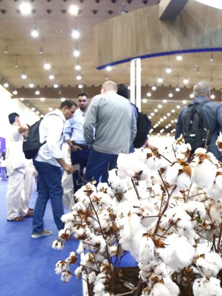 14° Congresso Brasileiro de Algodão, em Fortaleza (CE)