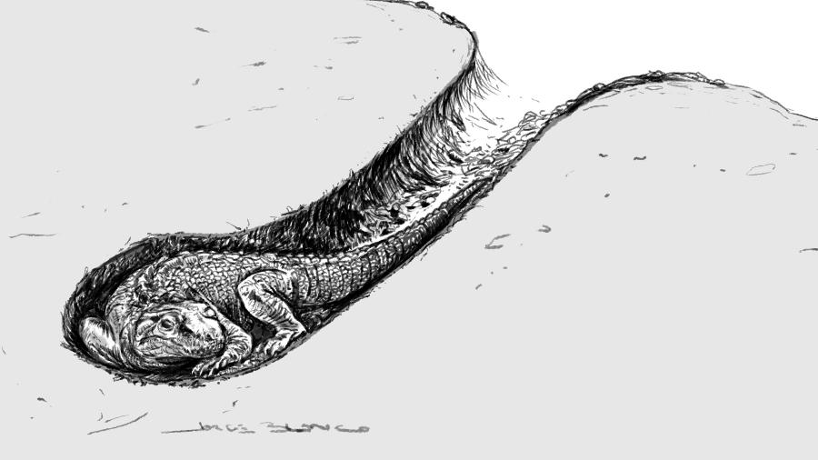 Ilustração mostra como era a toca de crocodilos encontra em Peirópolis - Jorge Blanco/Divulgação