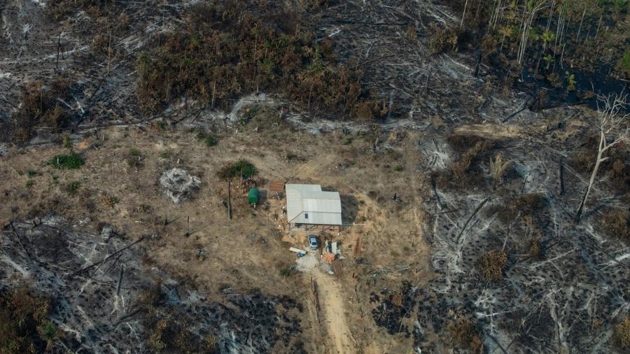 Vista aérea de áreas queimadas e focos de incêndio na Amazônia, na cidade de Nova Bandeirantes, Mato Grosso - Victor Moriyama/Greenpeace
