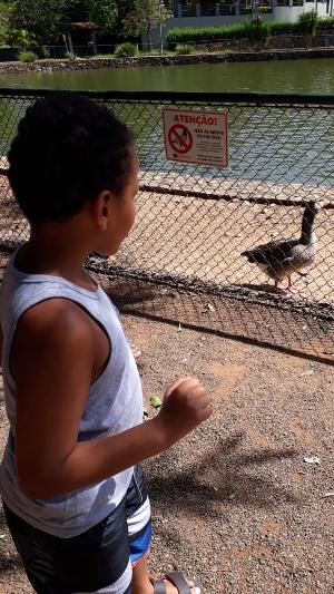 Arquivo Pessoal