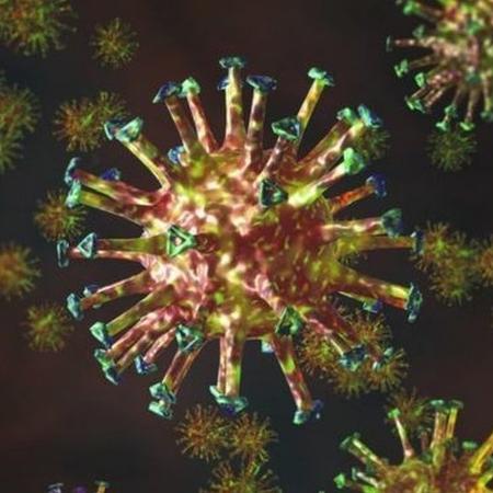 A terapia é baseada em anticorpos neutralizadores colhidos de pacientes que se recuperaram do novo coronavírus. - Getty Images