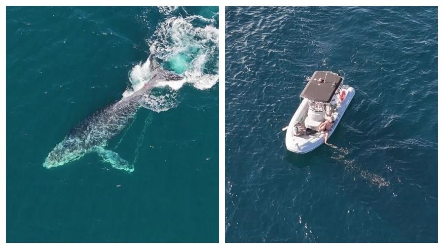 A baleia se "enroscou" e arrastou o barco em Arraial do Cabo