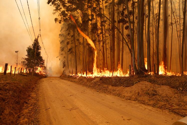 Incêndio de grande proporções atinge Pico das Cabras, em foto de 10 de setembro