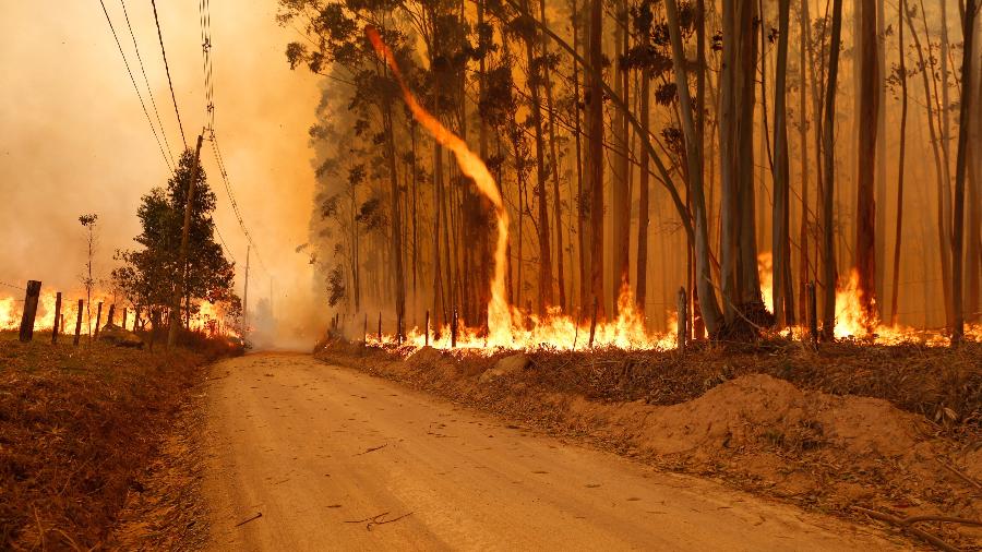 Incêndio de grande proporções atinge Pico das Cabras, na região de Campinas (SP)