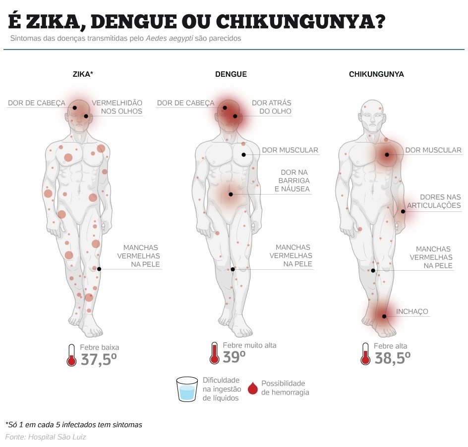 Zika virus rash pattern, spots in vacationer ... - CBC News