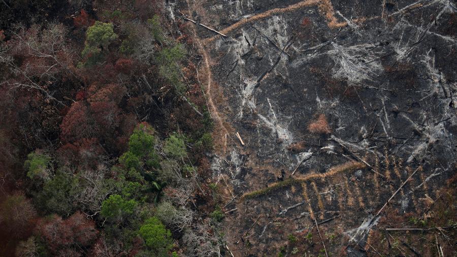 Vista áerea de área desmatada na Amazônia, nos arredores de Porto Velho (RO) - 22.ago.2019 - Ueslei Marcelino/Reuters