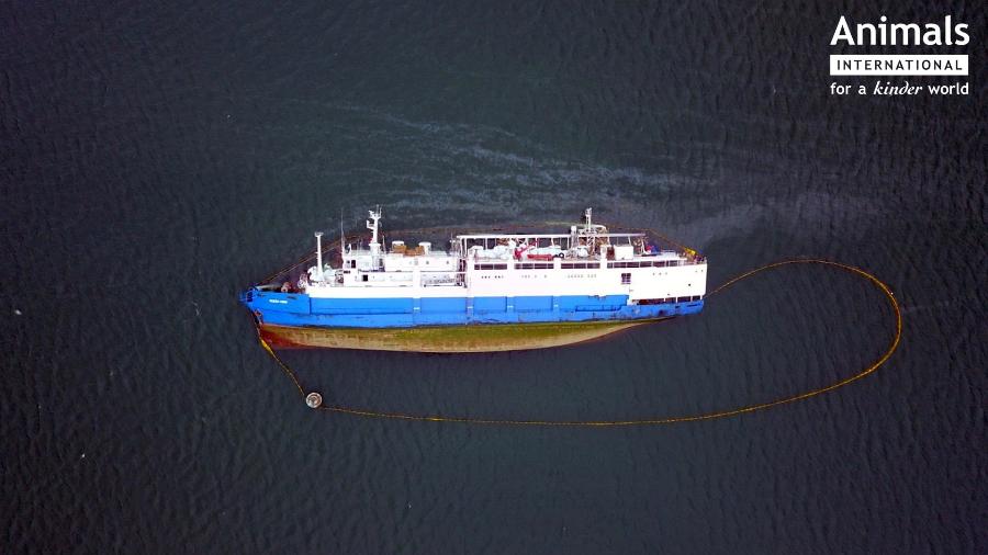 O navio Queen Hind, que virou na costa da Romênia - Reprodução/Facebook