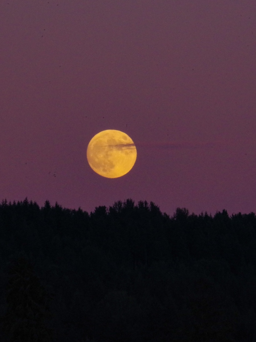 Lua Cheia de Morango 2023: o que é? Descubra este fenómeno celeste único 