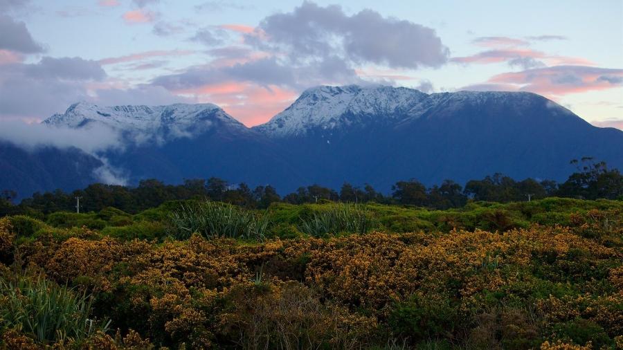 Vaga para conservar biodiversidade em Haast teve somente três candidatos antes de propaganda do governo; agora, mais de 1,4 mil pessoas aplicaram para o emprego - ?????/Creative Commons