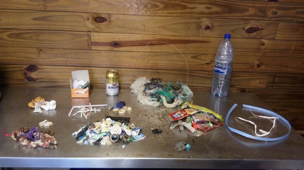 Ana Carolina Grillo Monteiro