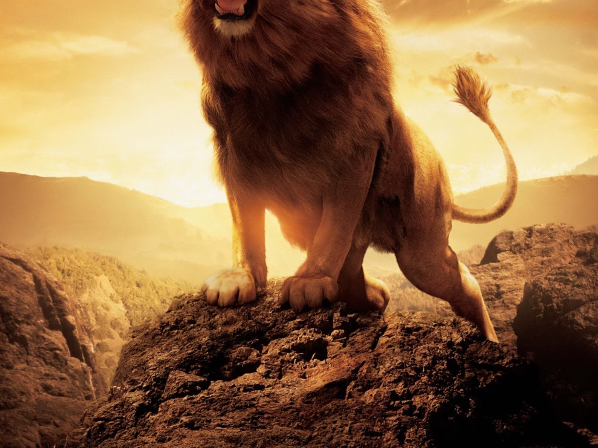 aslan #aslam #cronicasdenarnia #filme #viraltiktok #fy #fyp #timeline