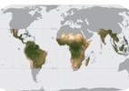 Noruega financia mapeamento de florestas tropicais por satélite em esforço contra desmatamento - Planet Labs Inc