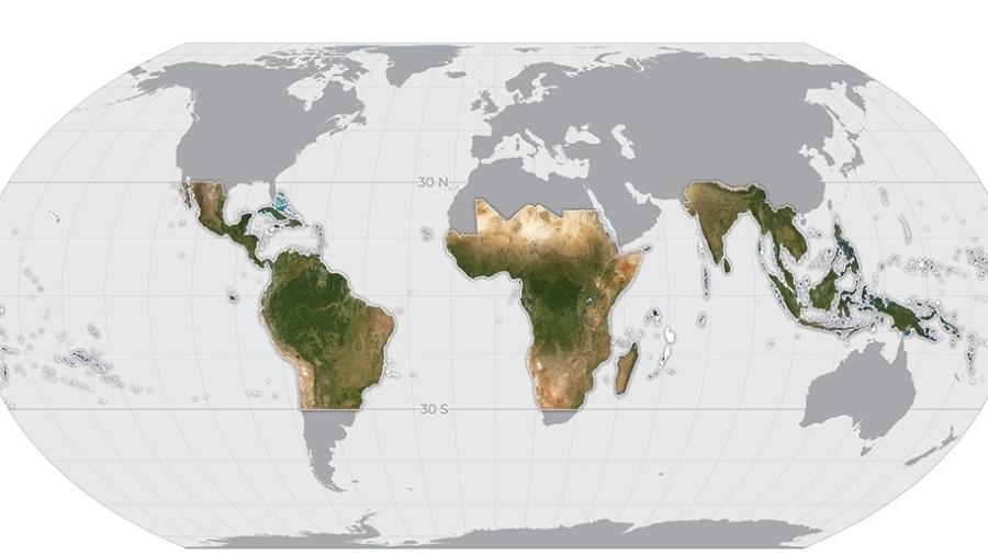 O mapa, com imagens de alta resolução, cobre 64 países, inclusive o Brasil, e será atualizado mensalmente - Planet Labs Inc