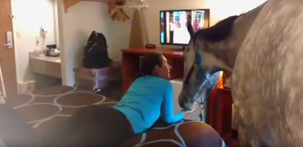 Lindsey Partridge divide quarto de hotel com seu cavalo - Youtube/Harmony Horsemanship