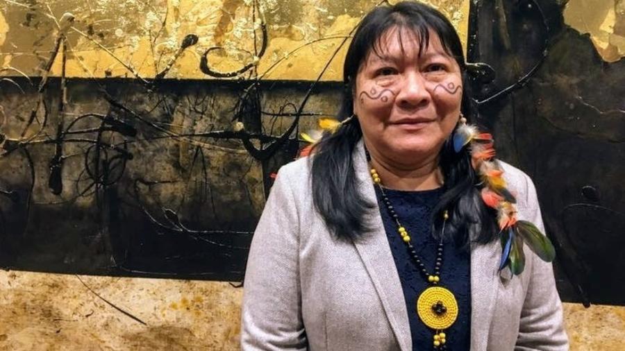 Joênia Wapichana, eleita deputada federal, foi a primeira indígena a se formar em Direito no Brasil - BBC