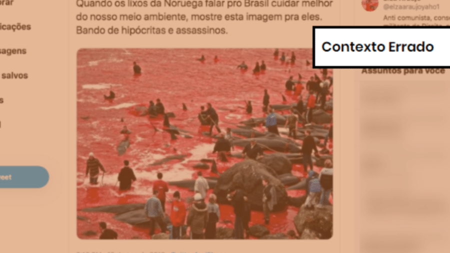 20.ago.2019 - Imagem de matança de baleias não foi capturada na Noruega - Reprodução/Comprova