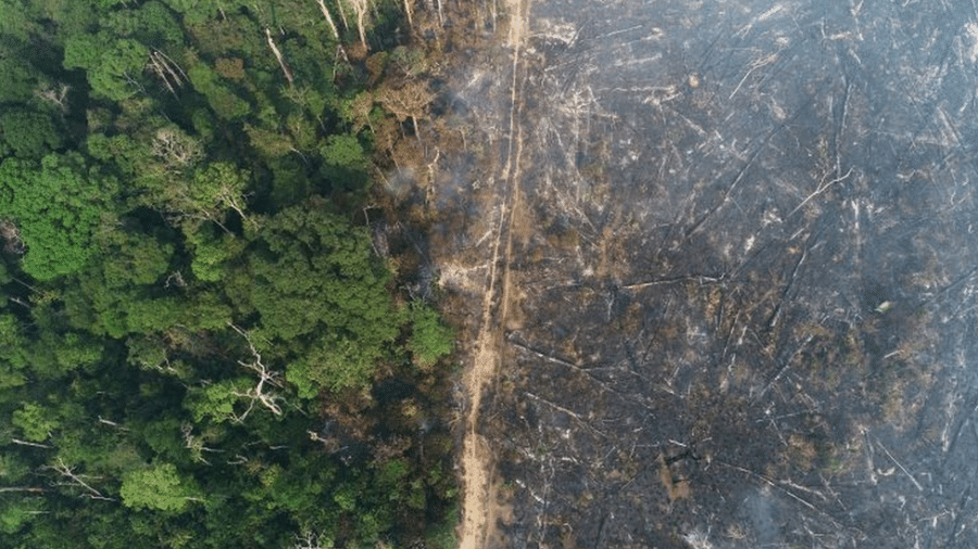 Área desmatada perto de Apuí, Amazonas; o procurador Daniel Azeredo diz que discurso leniente do governo tem incentivado destruição ambiental - REUTERS/Ueslei Marcelino