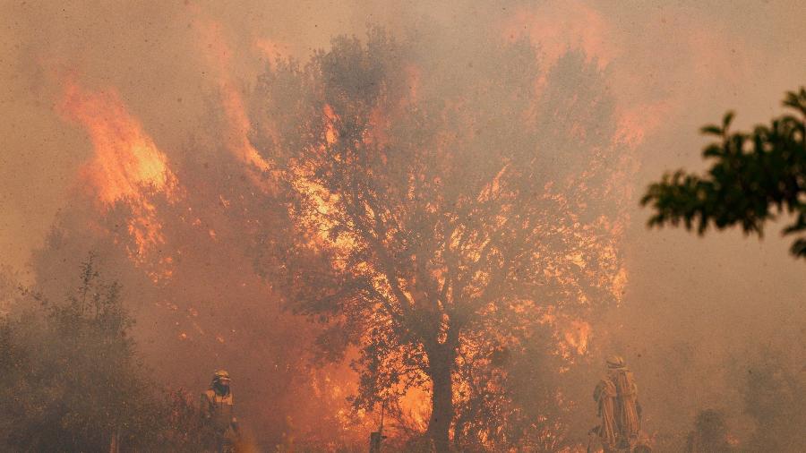 Bombeiros atuam no local de um incêndio florestal em Pumarejo de Tera, perto de Zamora, norte da Espanha - Cesar Manso/AFP