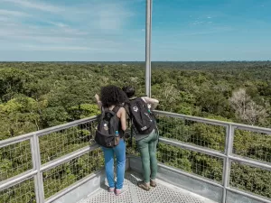 Torre gigante, peixes e serpentes: como é museu que Biden verá na Amazônia