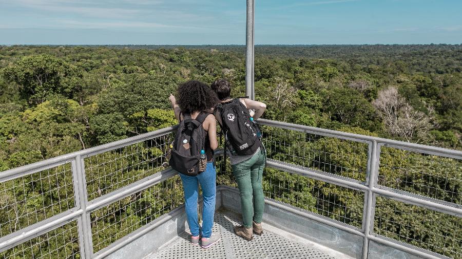 Torre do Musa tem 42 metros de altura; de cima, é possível contemplar as copas das árvores