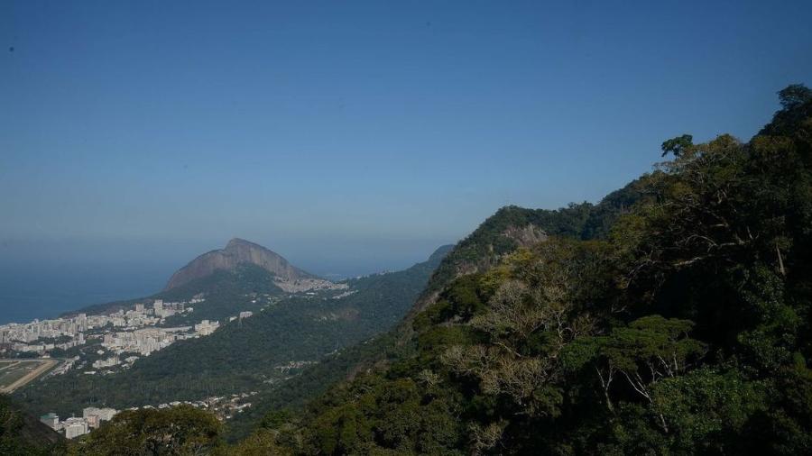 Parque Nacional da Tijuca, no Rio de Janeiro, tem ingresso mais barato - Fernando Frazão/Agência Brasil