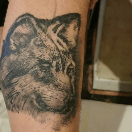 Tatuagem de lobo vem causando dor de cabeça para um inglês - Reprodução