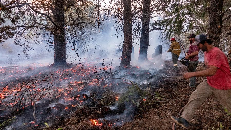 As chamas atingiram as localidades de Lago Puelo, El Bolsón, El Maitén, Epuyén, Futaleufú e El Hoyo - NIR EKDESMAN via REUTERS