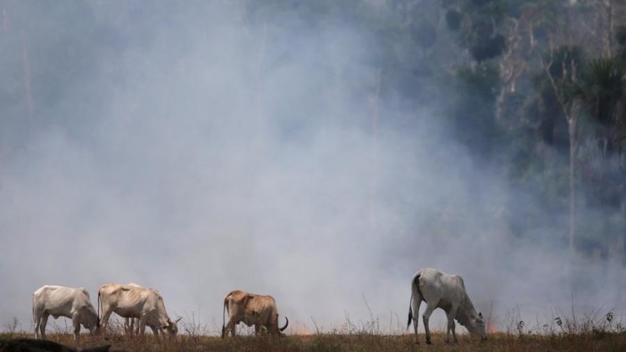 Emissão de gases do efeito estufa aqueceram o planeta; Brasil também sentiu e sentirá consequências - Ricardo Moraes/Reuters