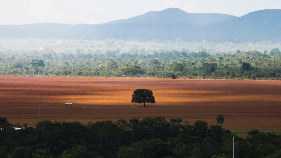 Desmatamento no cerrado - Marcelo Camargo/Agência Brasil