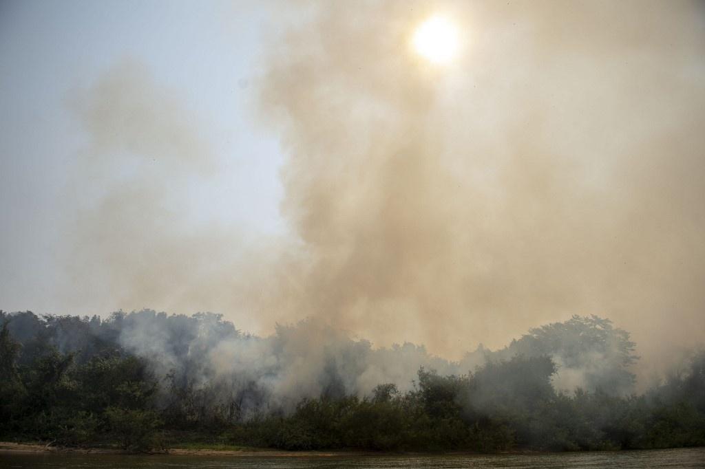 Images show fire in the Pantanal region, devastated by the fires that occurred in September 2020 - Mauro Pimentel / AFP