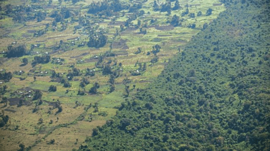 Parque Nacional de Virunga, na República Democrática do Congo, está ameaçado pela pressão agrícola - Andreas Brink