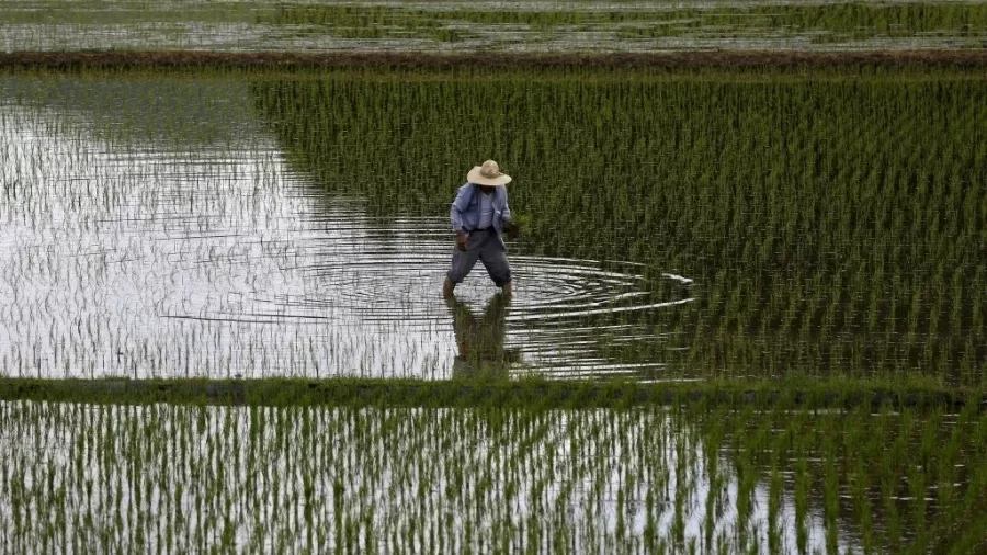 Issei Kato/Reuters