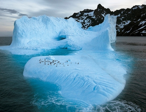 Paul Nicklen/National Geographic